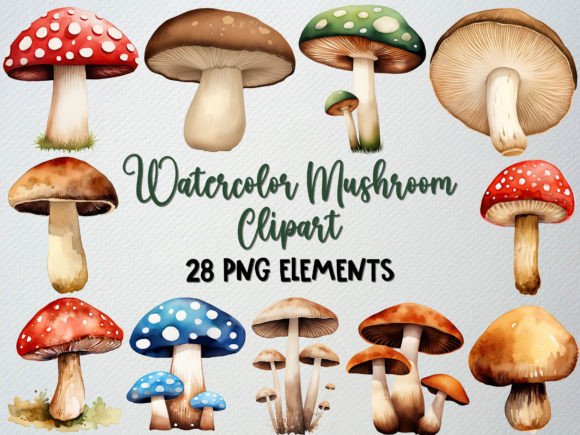 Download Watercolor Mushroom Clipart Set, 28 PNG - Mushroom Collection